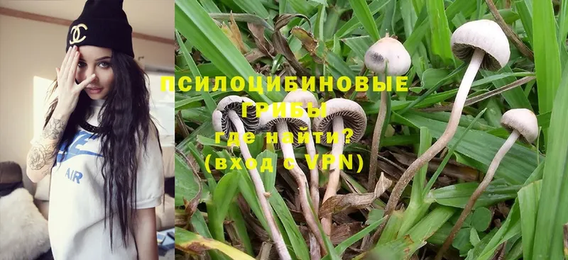 Галлюциногенные грибы Magic Shrooms  купить закладку  Емва 